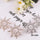 Hexa Star Zircon Earrings Pack of 2 | Golden & Silver